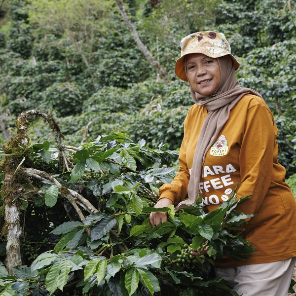 Indonesia Sumatra Ketiara Espresso