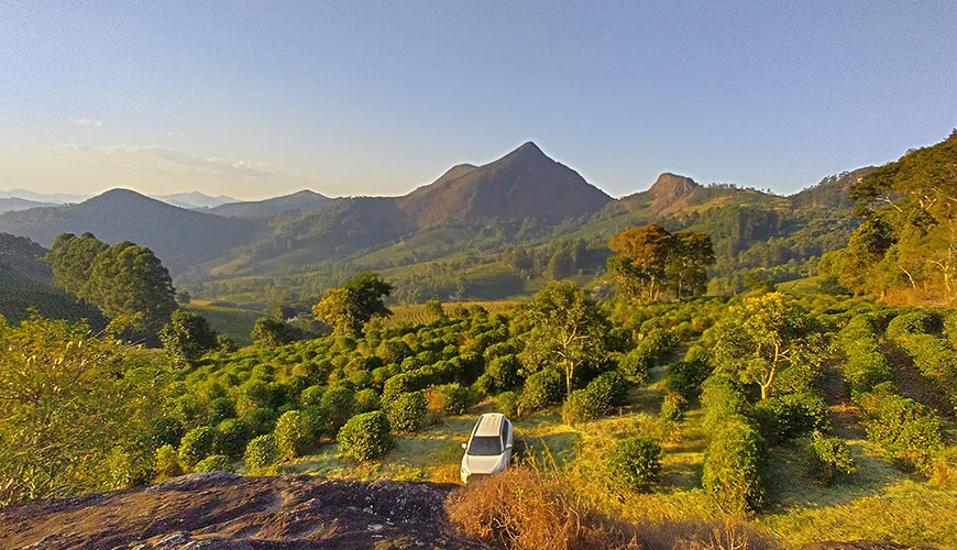 An inside look at the Brazilian Fazenda Sao Francisco Bela Vista