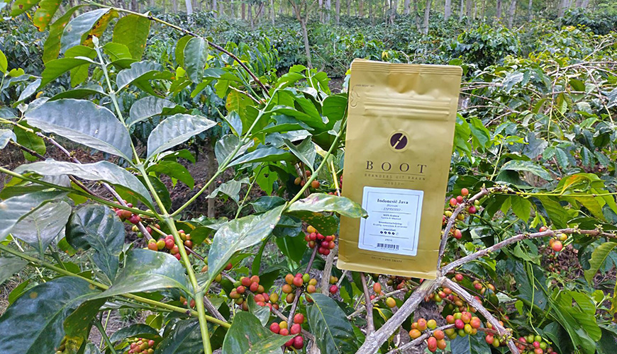 A coffee journey to Indonesia with a special mission