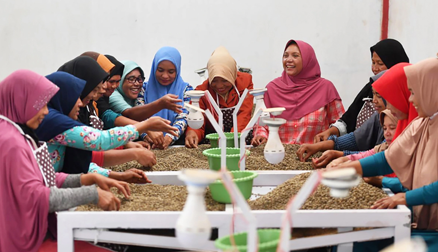 A powerful Indonesian women's coffee with a wonderful story